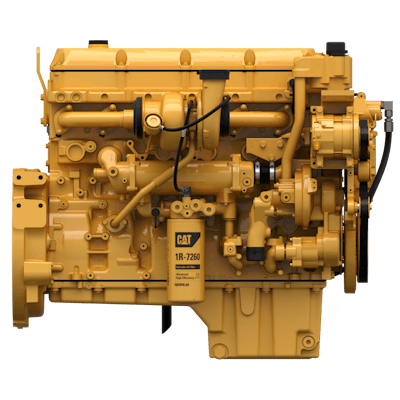 C13 B Cat Ortho Right