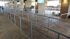 A large portion of Patterned Concrete of Cincinnati's stamped work involved creating the massive area under the Ark where visitors form a queue to enter the Bible-themed attraction.