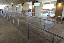 A large portion of Patterned Concrete of Cincinnati's stamped work involved creating the massive area under the Ark where visitors form a queue to enter the Bible-themed attraction.