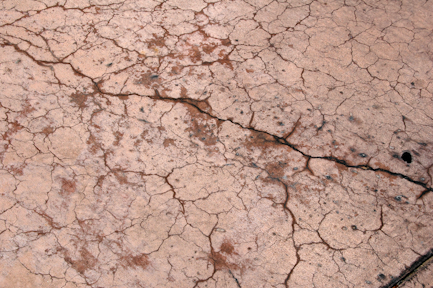 What To Do About Surface Cracking And Surface Crusting For