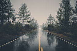 Forest Haze Hd Wallpaper 39811