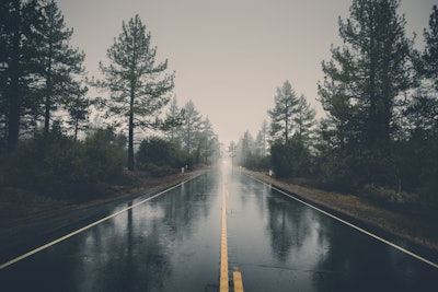 Forest Haze Hd Wallpaper 39811