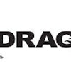 Dragon Logo