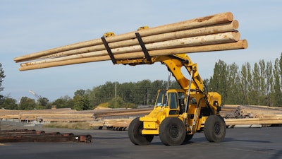 Pettibone Cary Lift254i(poles)