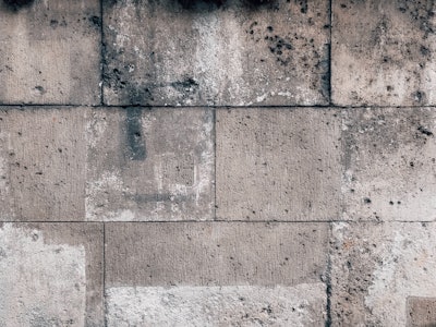Jan Antonin Kolar 1405811 Unsplash