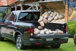 Midsize Honda is the most-American pickup sold in the U.S. The only half-ton pickup with more than 55% American content is Ford's F-150.