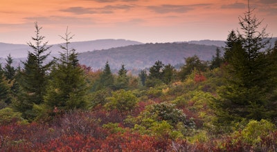Virginia