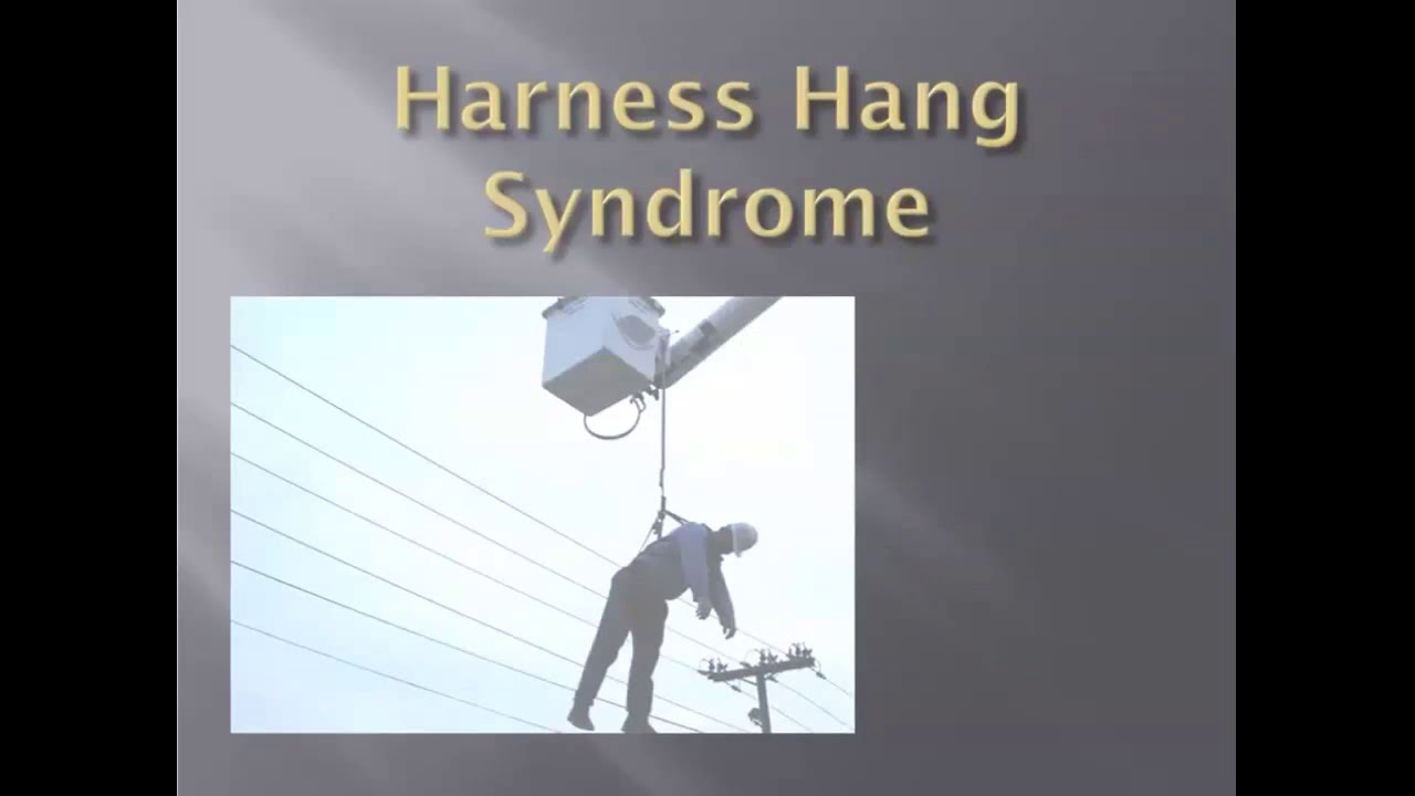 Maxresdefault 5d237eea438d8