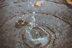 Xiaolong Wong T O Cut3y 42 U Unsplash