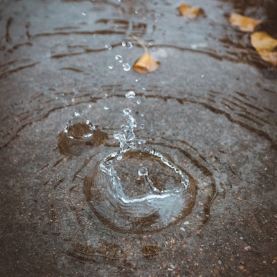 Xiaolong Wong T O Cut3y 42 U Unsplash