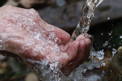 Body Clean Clear 66346