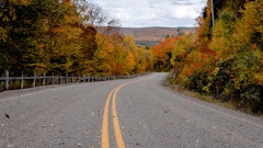 Asphalt Autumn Daytime 3082637