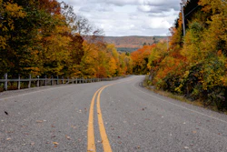 Asphalt Autumn Daytime 3082637