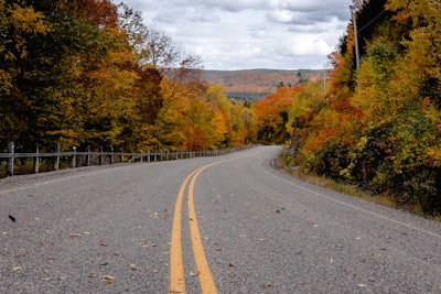 Asphalt Autumn Daytime 3082637