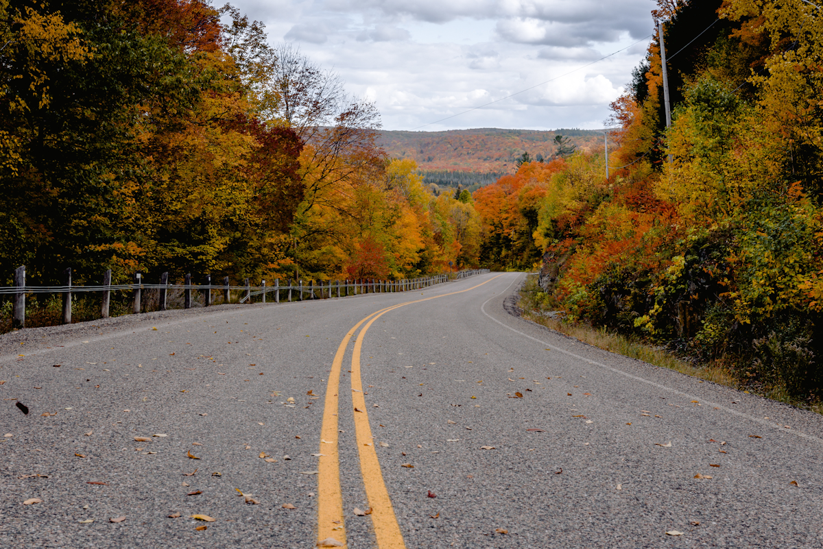 Take Advantage Of Your State Asphalt Pavement Association For