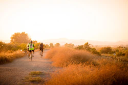 Bicycle Tour Bicycles Bicyclists 17729