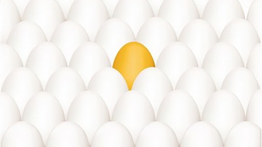 Differentiate Golden Egg Free Digital Photos