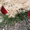 Caution Flags Electric Lines
