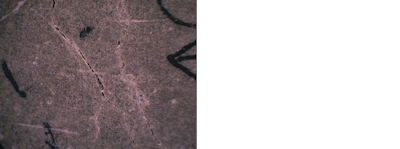 Purdue healing-concrete