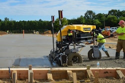 Spider Screed Calendar Photo 1