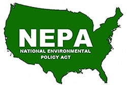 Nepa Green 400x275