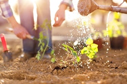 Garden Club Class 1703108 (1)