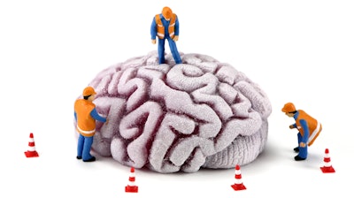 Brain