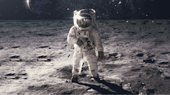 Adobe Stock 277977555