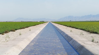Gccm Cortex Canal