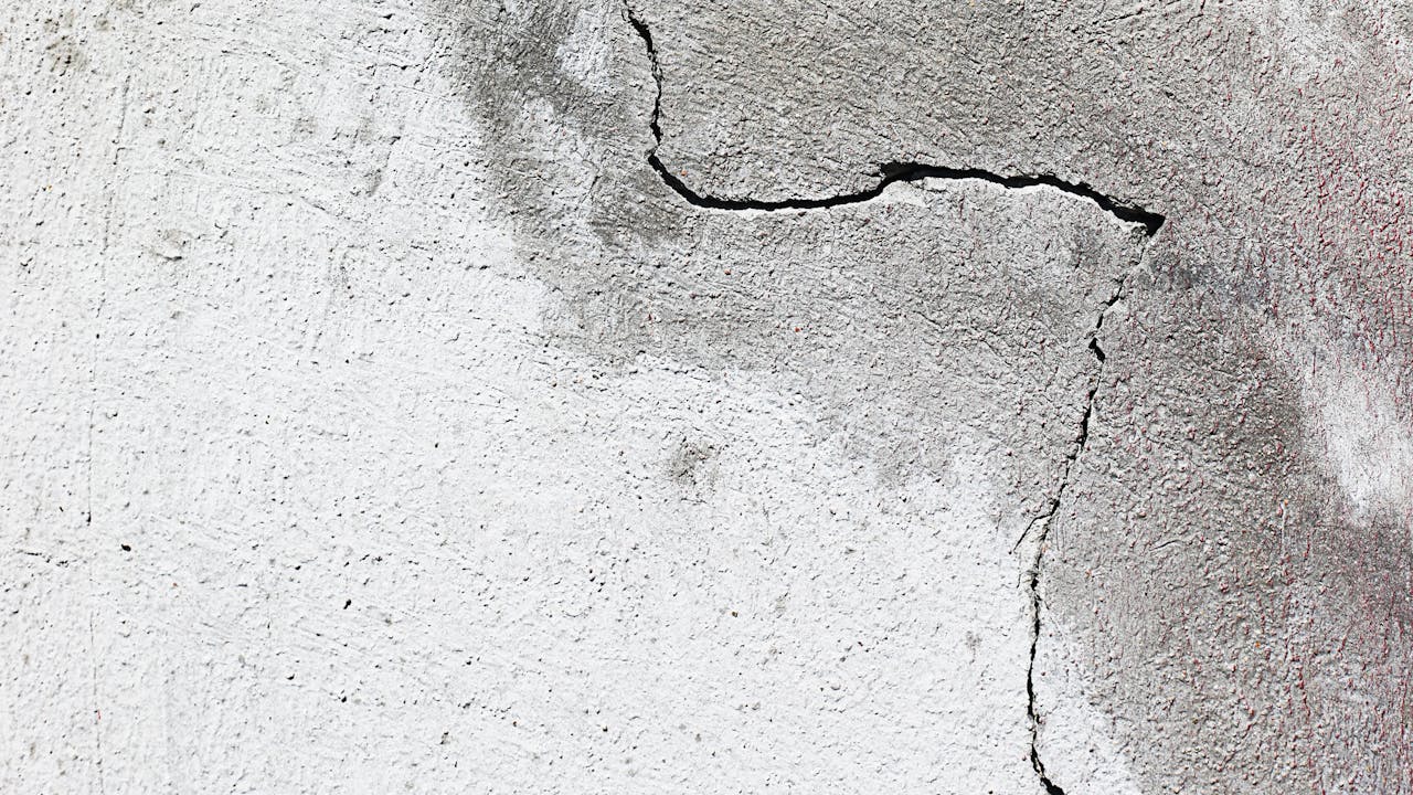 Adobe Stock 231174485