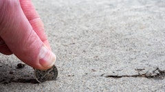 Adobe Stock 329976094