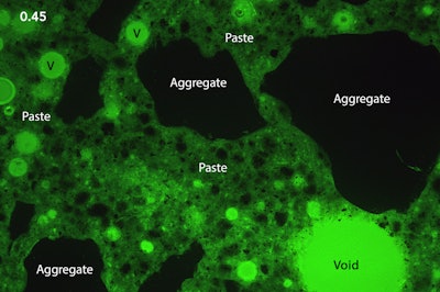 Figure 2. Fluorescent light photomicrograph of a thin section indicating aggregate particles, voids (v) and paste. The horizontal field width is ~ 1.5 mm.