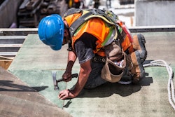 Pexels com Via Orion Talent