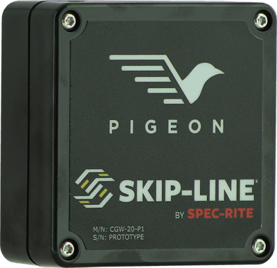 Pidgeon
