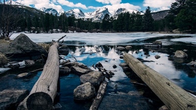 Cu Interior David Besh Pexels