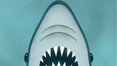 Phishing Awareness Flyer Jaws