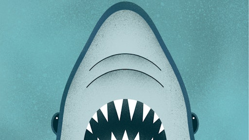 Phishing Awareness Flyer Jaws