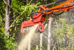 Fecon FMX36