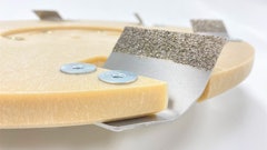 The Mastic Demon Floor Coating Removal Tool