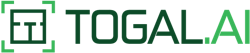 Togal ai Logo