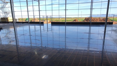 Profile of Exposed Design Group