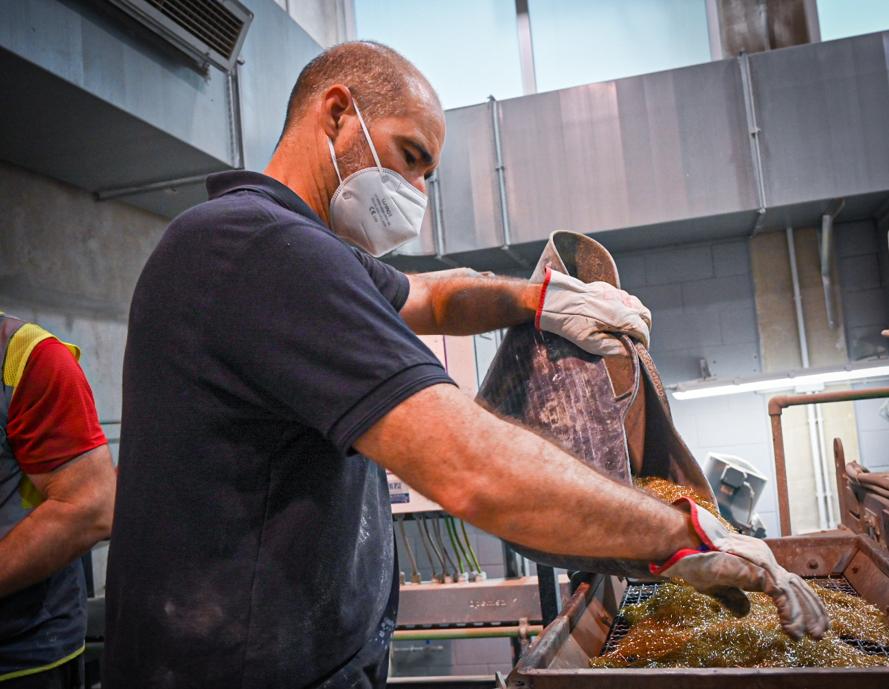 Universidad Politécnica de Valencia Uhdc 3