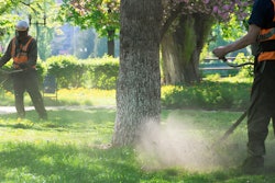 Adobe Stock Pellinni Large