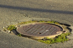 Adobe Stock 176733619