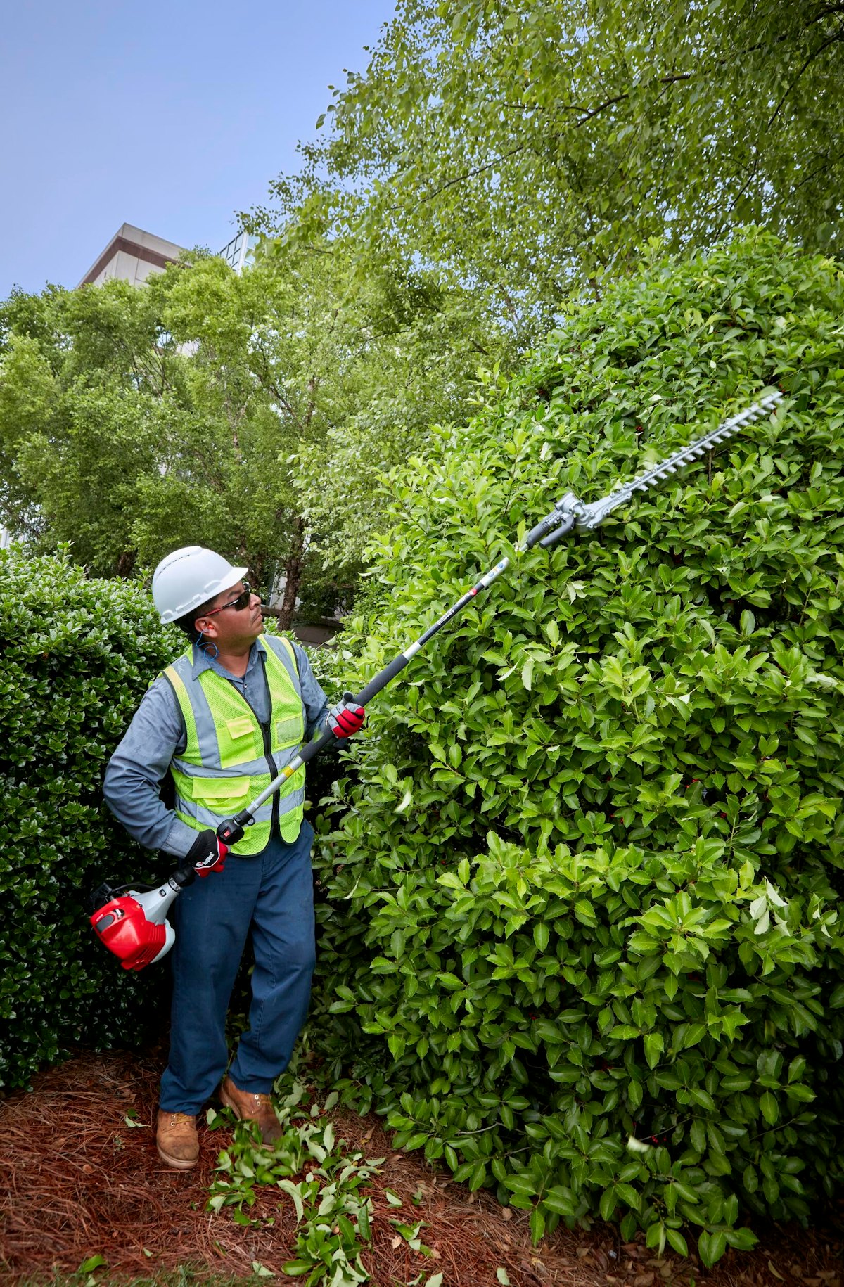 Redmax long shop reach hedge trimmer