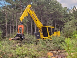 Powered by a Komatsu SAA6D107E-3 Tier 4 Final engine, the processor features a large swing circle for moving trees and extra fuel storage.