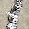 Fiber Reinforcement In Concrete With Vance Pool of Euclid Chemical