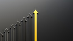 Adobe Stock 591101009