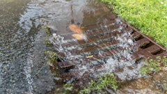 Adobe Stock 113020126