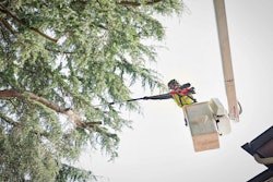 With a POWERSTATE Brushless Motor, this battery-powered pole saw maintains speed under heavy loads, delivering up to 2.35 hp of peak power.